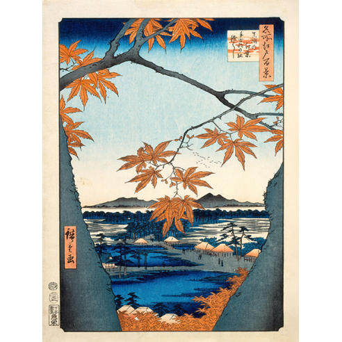 Maple Trees at Mama, Tekona Shrine...