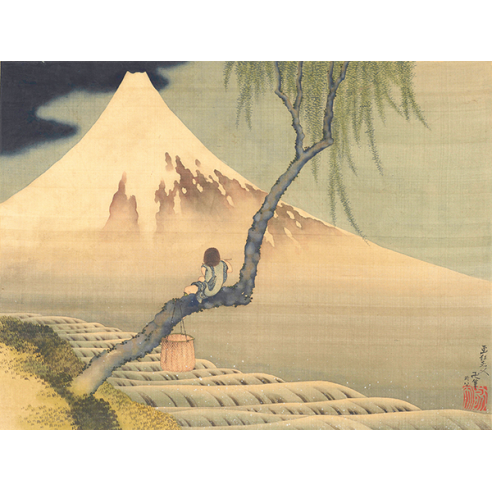 Boy Viewing Mount Fuji