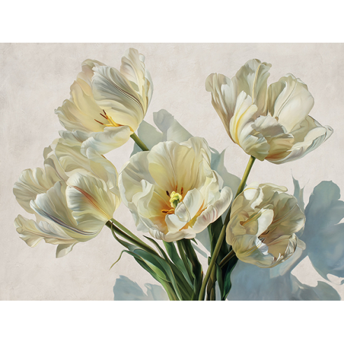 Tulips in the Sunlight