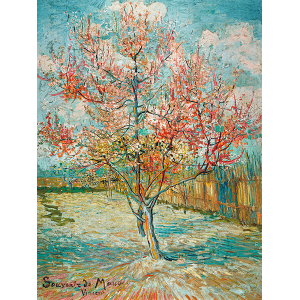 Pink Peach Trees