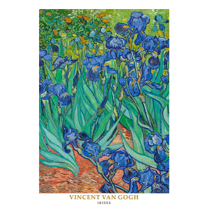 Irises