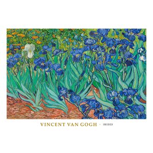 Irises